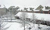 snowwwwwwwwwwwwww-vc2.jpg