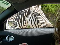 Possible weekly cruise?-2004_0321image0089.jpg