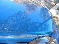 Clearbra Group Buy Phoenix / Tucson-112-1248_img.jpg