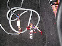 ecu harness help-img_0590.jpg