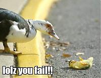 Injen CAI VQ35HR dynos anyone?-lolz-you-fail.jpg