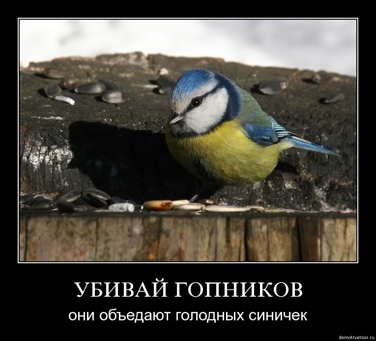Name:  043.jpg
Views: 239
Size:  76.6 KB