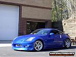 VOLKS (stay or go?)-toby-p-01.jpg