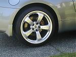 WHEEL LOCKS?LUG NUTS Q's-rayslugs.jpg
