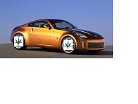 PICS OF 20 inchers on The Z-pot.jpg