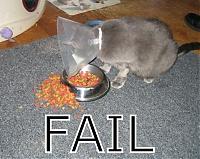 G37 Rims on a Z?-fail-1-.jpg