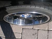 axis reverbs.. new wheeeeels-myzbiatch-117.jpg