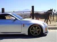 >>>>>>>Volk Owners Only<<<<<<<<-l_ae89dc2c48b34afe37f06183a6a2ea7f.jpg