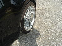Spacer advice please-tree-fiddy-008.jpg