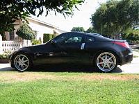 19s or 20s-black-z.jpg