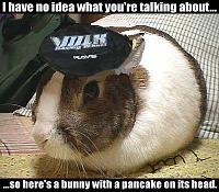 Got socks?-jdm-is-tyte.jpg