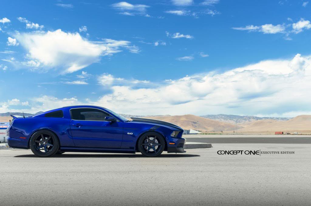 Name:  Mustang-4lr_zpsbe115ec9.jpg
Views: 28
Size:  66.6 KB