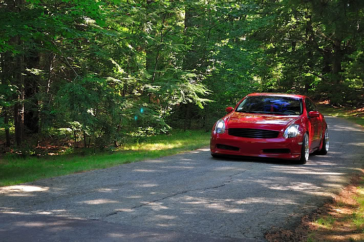 Name:  DSC_9758.jpg
Views: 180
Size:  142.0 KB