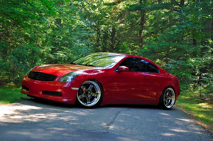 Name:  DSC_9708.jpg
Views: 187
Size:  153.3 KB