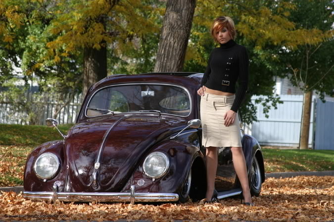Name:  buggirl.jpg
Views: 416
Size:  86.2 KB