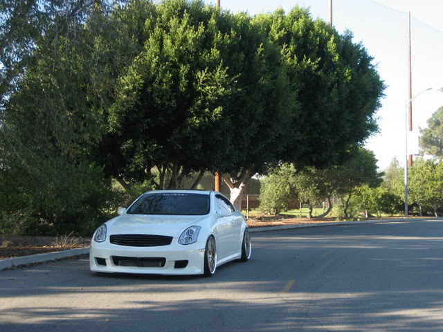 Name:  fairview003.jpg
Views: 136
Size:  92.8 KB