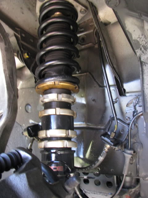 Name:  coiloverfront1.jpg
Views: 146
Size:  65.8 KB