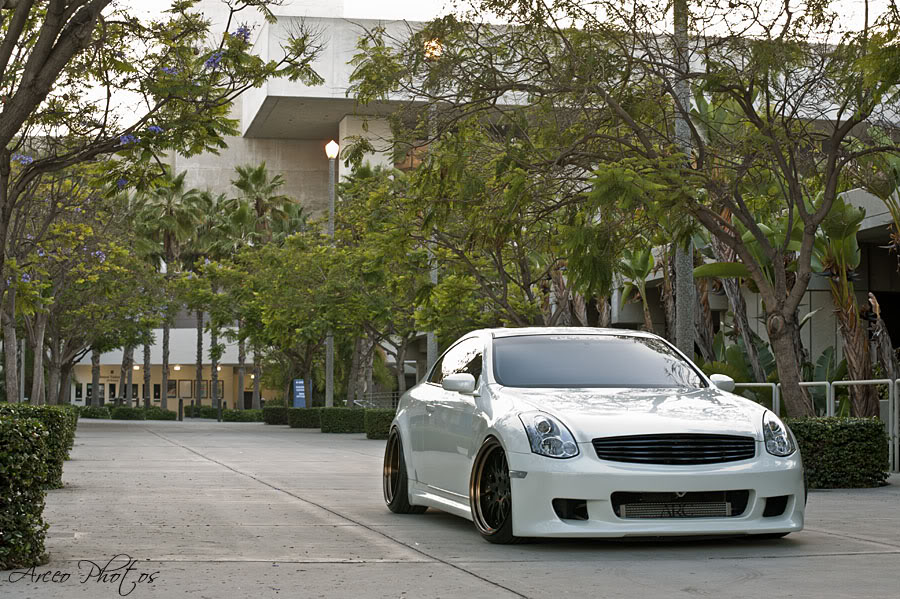 Name:  MonardG352-1.jpg
Views: 130
Size:  172.6 KB