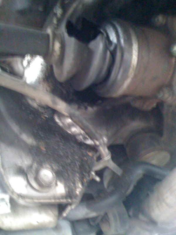 Name:  IMG_0338.jpg
Views: 91
Size:  56.8 KB