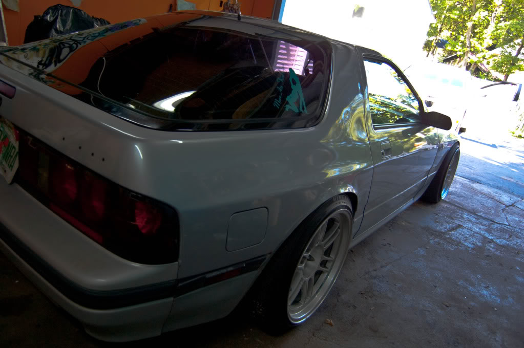 Name:  DSC_2893.jpg
Views: 611
Size:  103.6 KB