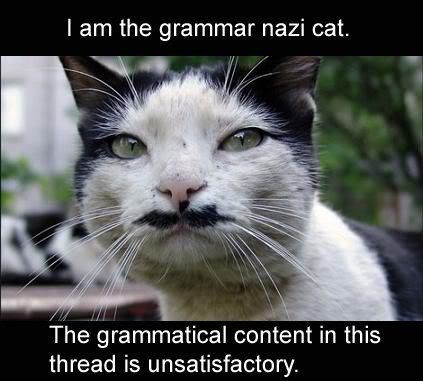 Name:  GrammarNazi.jpg
Views: 260
Size:  30.4 KB