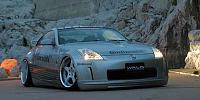 how low can you go?-wald-350z_1.jpg