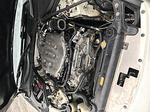 Pearl White 2003 350z 6mt Enthusiast 140,000 miles-76605a05-f968-4026-b40b-c90f30d2d5e6.jpeg