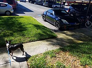 2007 350z Base HR 6MT San Marino Blue 45k miles Tampa, FL-qelqv9p.jpg