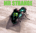 Mr Strange's Avatar